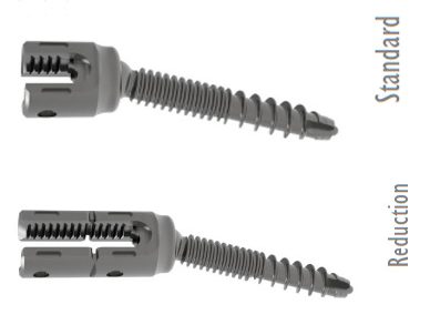 Tornillo multiaxial, 5,5